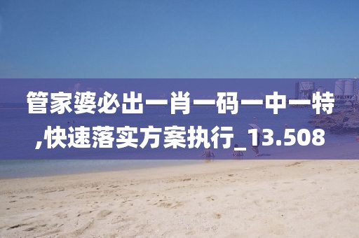 管家婆必出一肖一码一中一特,快速落实方案执行_13.508