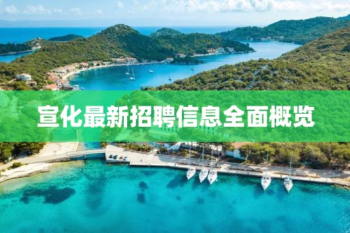 宣化最新招聘信息全面概览