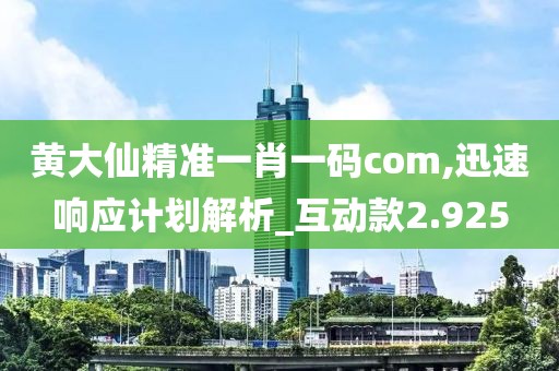 黄大仙精准一肖一码com,迅速响应计划解析_互动款2.925