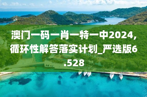 澳门一码一肖一特一中2024,循环性解答落实计划_严选版6.528