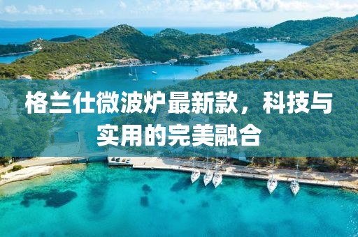 格兰仕微波炉最新款，科技与实用的完美融合