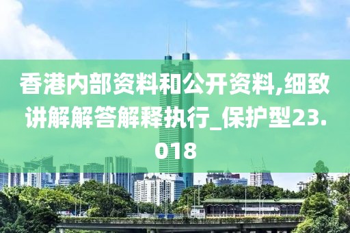 香港内部资料和公开资料,细致讲解解答解释执行_保护型23.018