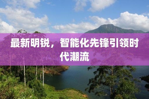 最新明锐，智能化先锋引领时代潮流