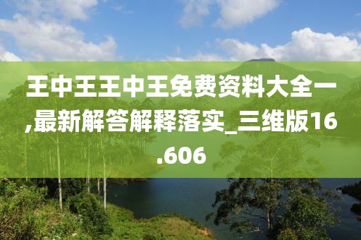 王中王王中王免费资料大全一,最新解答解释落实_三维版16.606