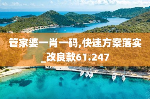 管家婆一肖一码,快速方案落实_改良款61.247