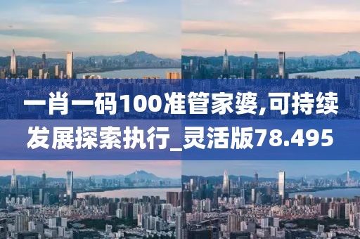 一肖一码100准管家婆,可持续发展探索执行_灵活版78.495