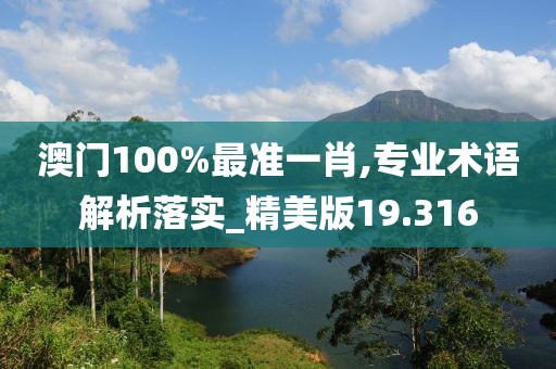 澳门100%最准一肖,专业术语解析落实_精美版19.316