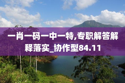 一肖一码一中一特,专职解答解释落实_协作型84.11