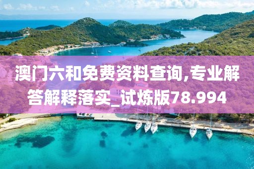 澳门六和免费资料查询,专业解答解释落实_试炼版78.994