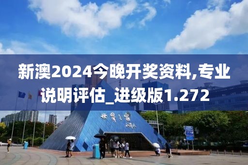 新澳2024今晚开奖资料,专业说明评估_进级版1.272