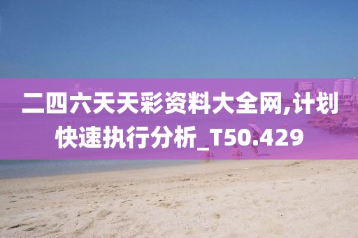 二四六天天彩资料大全网,计划快速执行分析_T50.429