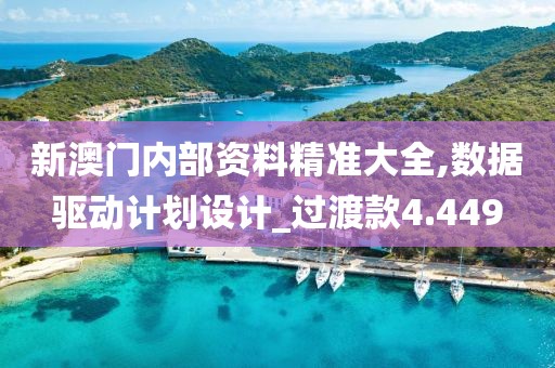 新澳门内部资料精准大全,数据驱动计划设计_过渡款4.449