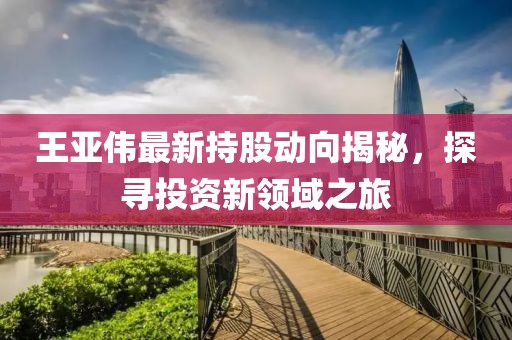 王亚伟最新持股动向揭秘，探寻投资新领域之旅