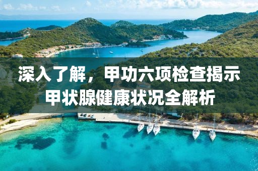 深入了解，甲功六项检查揭示甲状腺健康状况全解析