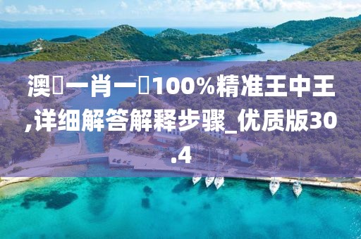 澳門一肖一碼100%精准王中王,详细解答解释步骤_优质版30.4