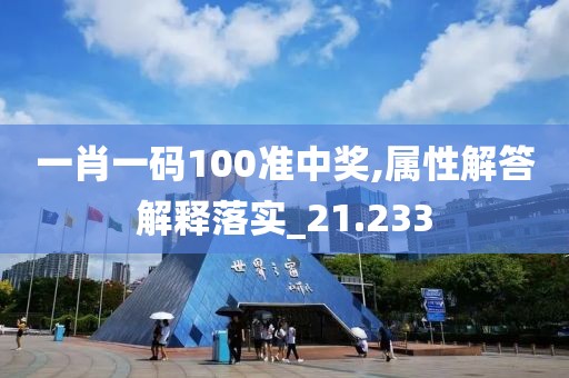 一肖一码100准中奖,属性解答解释落实_21.233