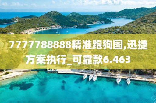 7777788888精准跑狗图,迅捷方案执行_可靠款6.463