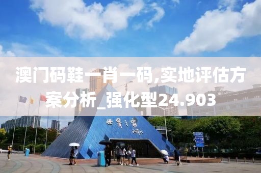澳门码鞋一肖一码,实地评估方案分析_强化型24.903