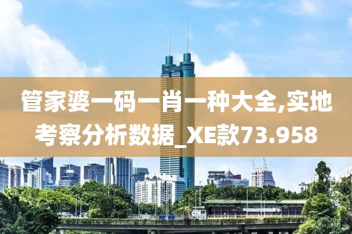 管家婆一码一肖一种大全,实地考察分析数据_XE款73.958