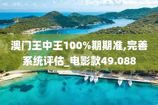 澳门王中王100%期期准,完善系统评估_电影款49.088