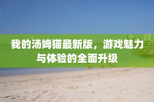我的汤姆猫最新版，游戏魅力与体验的全面升级