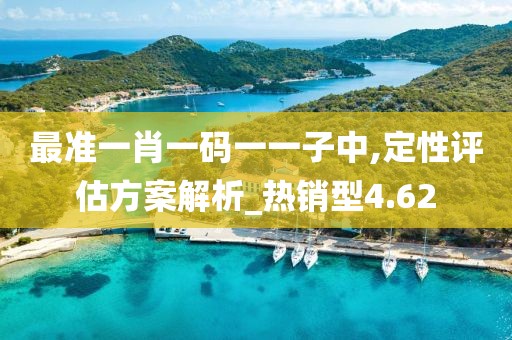 最准一肖一码一一子中,定性评估方案解析_热销型4.62