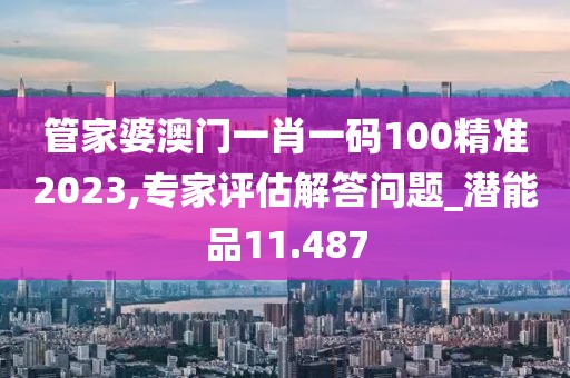 管家婆澳门一肖一码100精准2023,专家评估解答问题_潜能品11.487