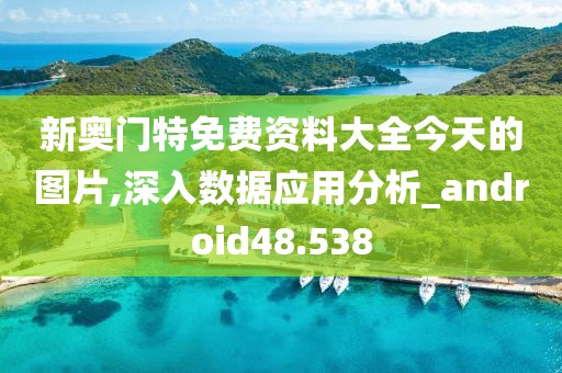 新奥门特免费资料大全今天的图片,深入数据应用分析_android48.538