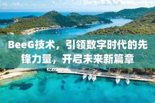 BeeG技术，引领数字时代的先锋力量，开启未来新篇章