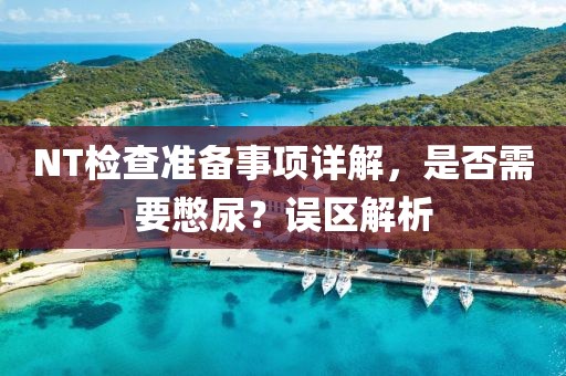 NT检查准备事项详解，是否需要憋尿？误区解析