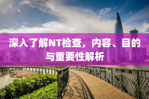 深入了解NT检查，内容、目的与重要性解析