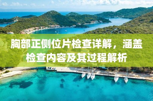 胸部正侧位片检查详解，涵盖检查内容及其过程解析