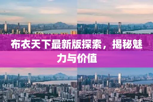 布衣天下最新版探索，揭秘魅力与价值
