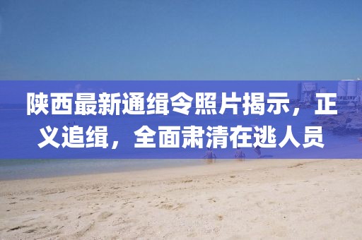 陕西最新通缉令照片揭示，正义追缉，全面肃清在逃人员
