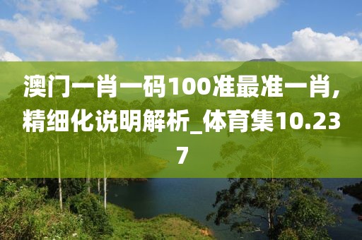 澳门一肖一码100准最准一肖,精细化说明解析_体育集10.237