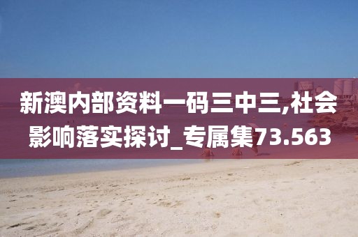 新澳内部资料一码三中三,社会影响落实探讨_专属集73.563
