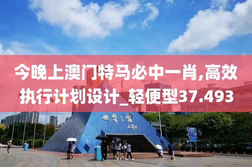 今晚上澳门特马必中一肖,高效执行计划设计_轻便型37.493