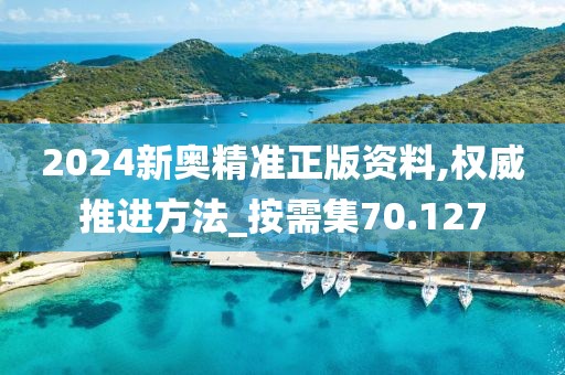 2024新奥精准正版资料,权威推进方法_按需集70.127