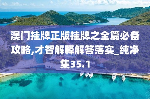 澳门挂牌正版挂牌之全篇必备攻略,才智解释解答落实_纯净集35.1