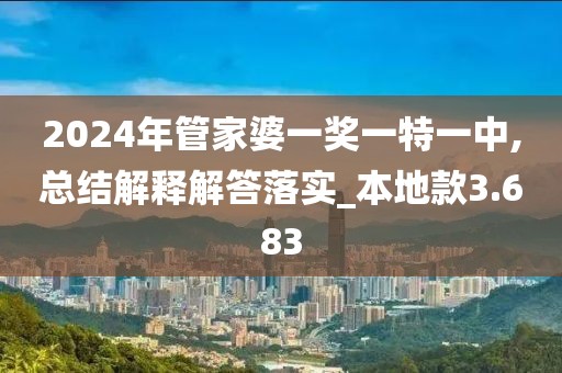2024年管家婆一奖一特一中,总结解释解答落实_本地款3.683