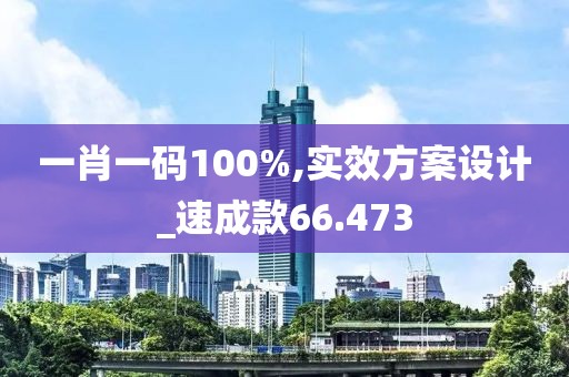 一肖一码100%,实效方案设计_速成款66.473