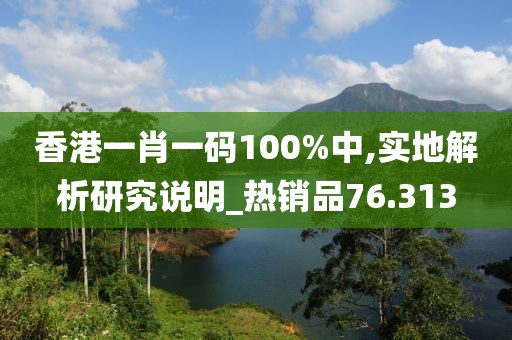 香港一肖一码100%中,实地解析研究说明_热销品76.313