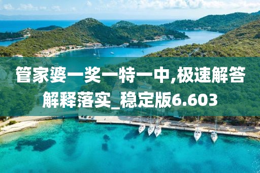 管家婆一奖一特一中,极速解答解释落实_稳定版6.603
