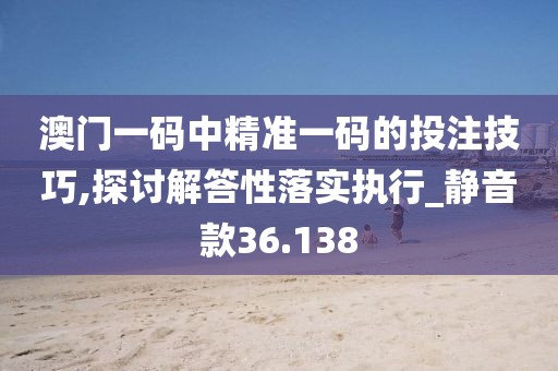 澳门一码中精准一码的投注技巧,探讨解答性落实执行_静音款36.138
