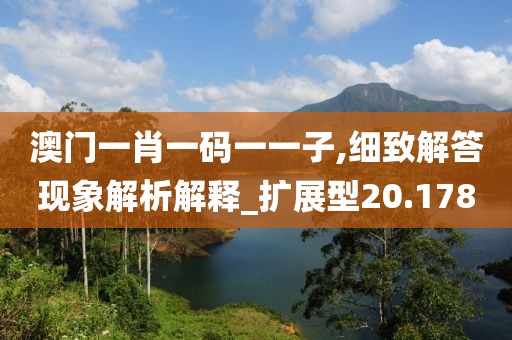 澳门一肖一码一一子,细致解答现象解析解释_扩展型20.178
