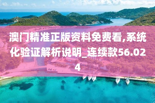 澳门精准正版资料免费看,系统化验证解析说明_连续款56.024