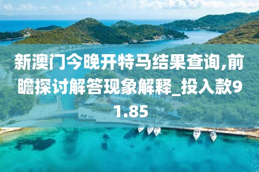 新澳门今晚开特马结果查询,前瞻探讨解答现象解释_投入款91.85