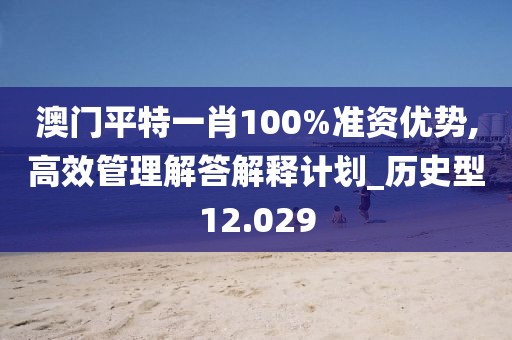 澳门平特一肖100%准资优势,高效管理解答解释计划_历史型12.029