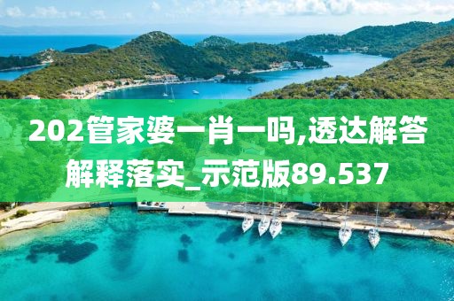 202管家婆一肖一吗,透达解答解释落实_示范版89.537