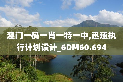 澳门一码一肖一特一中,迅速执行计划设计_6DM60.694